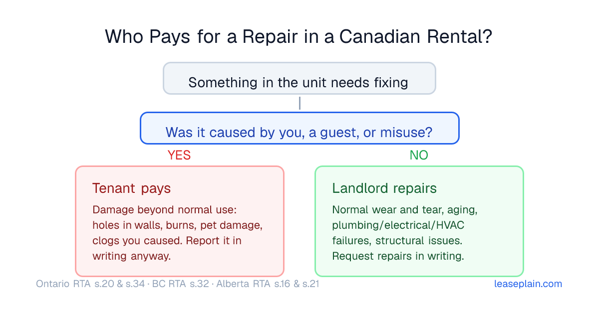 Decision flowchart for Canadian rentals: if damage was caused by the tenant, a guest, or misuse, the tenant pays for the repair; if it is normal wear and tear, aging, or a building system failure, the landlord must repair it
